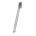 Komperdell Booster Vogue Aluminum Ski Poles 2022