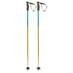 Volkl Phantastick Ski Poles 2022