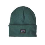 Patagonia Everyday Beanie 2022