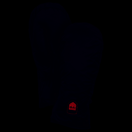 Hestra Heated Liner Mitten Winter 2020