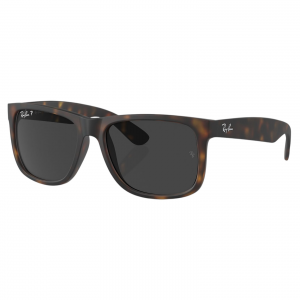 Ray-Ban Justin Sunglasses