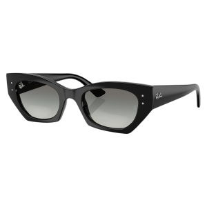 Ray-Ban Zen Sunglasses