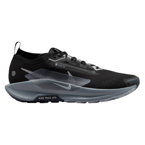 Nike Pegasus Trail 5 GORE-TEX Waterproof Trail Running Shoe - Men's