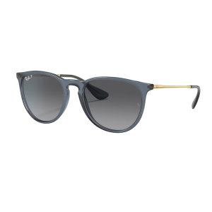 Ray-Ban Erika Classic Sunglasses