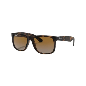 Ray-Ban Justin Sunglasses