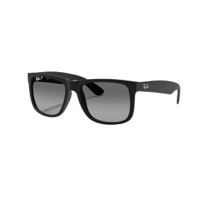 Ray-Ban Justin Sunglasses