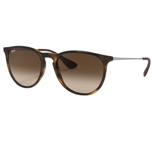 Ray-Ban Erika Classic Sunglasses