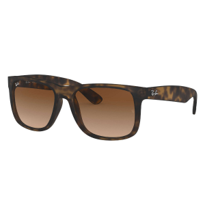 Ray-Ban Justin Sunglasses