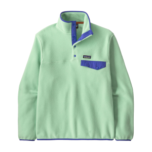 Patagonia Lightweight Synchilla Snap-T Fleece Pullover - Men's