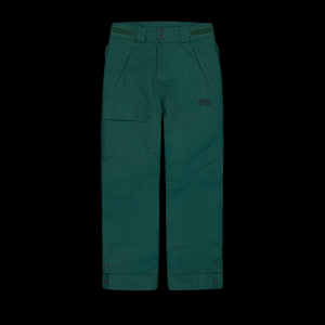 Picture Time Snow Pant - Youth