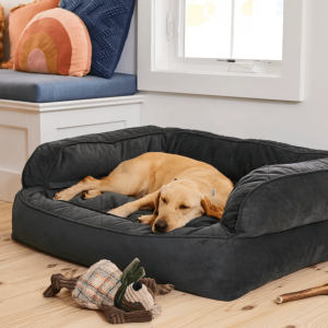 Orvis ComfortFill-Eco Couch Dog Bed