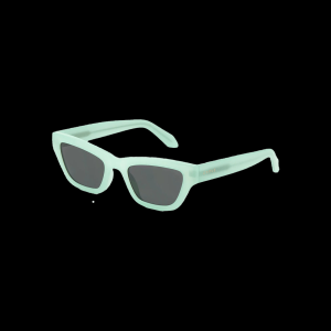 Carve Eyewear Valencia Sunglasses