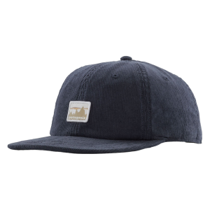 Patagonia Corduroy Cap