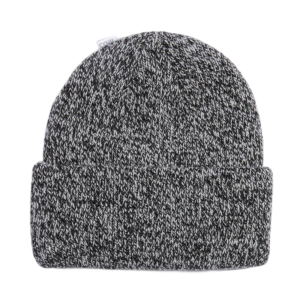 Coal Headwear The Wayne Beanie