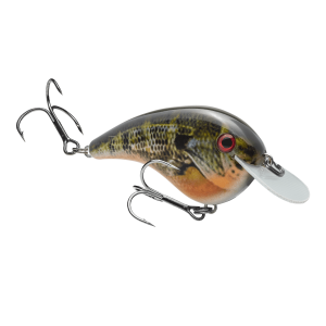 Strike King Chick Magnet Flatsided Crankbait