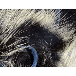Hareline Dubbin Frostip Magnum Rabbit Strip