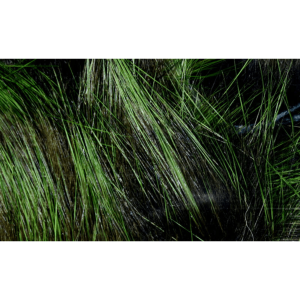 Hareline Dubbin Frostip Magnum Rabbit Strip