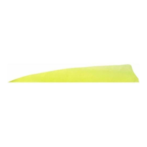 Kinsey's Archery Gateway Shield-Cut Feathers
