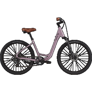 Cannondale Adventure 2