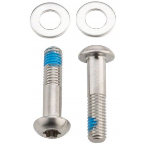 Sram | Flat Mount Disc Caliper Bolts | Titanium | 32Mm