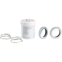 Dt Swiss | 54T Star Ratchet Upgrade Kit 54 Tooth, 2 Rachets, 2 Springs, Grease