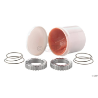 Dt Swiss | 18T Star Ratchet Kit Two Star Ratchets, Two Springs Molykote