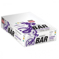 Hammer Nutrition | Food Bar - 12 Pack Chocolate Chip