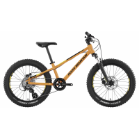 Rocky Mountain | Soul Jr 20 Bike 2021 One Size Orange / Black