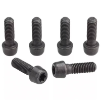 Zipp | Service Course Bolt Kit Steel Black