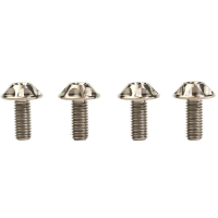 Silca | Titanium | Cage Bolts | Titanium | 4 Pack