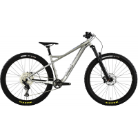 Orbea | LAUFEY H10 Bike 2022 L Dark Grn