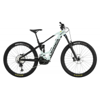Orbea | WILD FS M20 20mph Bike 2022 S/M Grn Blk