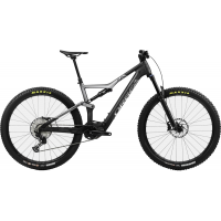 Orbea | RISE MTEAM 20mph Bike 2022 S | White | Grn
