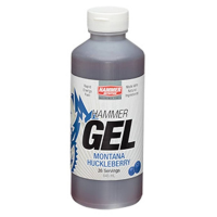 Hammer Nutrition | Gel Jug - 26 Servings Apple-Cinnamon, 26 Serving Jug