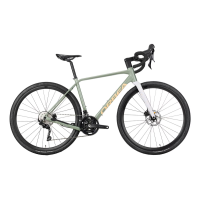 Orbea | Terra H40 Bike Artichoke - Lilac L