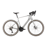 Cannondale | Synapse Neo Allroad 1 E-Bike 2025 | Mantis Gray | L