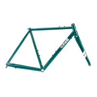 Cinelli | Nemo Tig Gravel Disc Frameset | Green Special | S 51