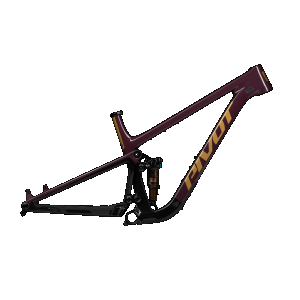 XS / Dr Purple