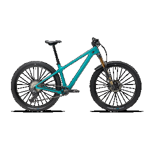 LG / Turquoise / DT SWISS XMC1700 30MM