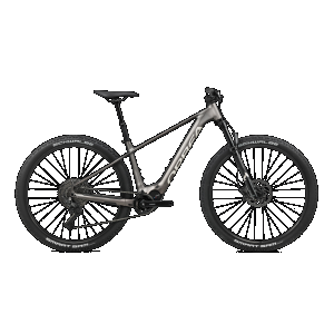 Orbea Urrun 20 20mph - Magnetic Bronze (Matt) - Silver (Gloss) / S