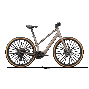 Orbea Carpe 25 28mph - Nickel / S