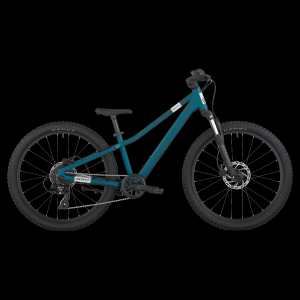 Scott Roxter 400 Bike - Loch Green - Loch Green / One size