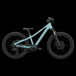 Scott Roxter 200 Bike - Canal Blue / One size