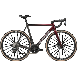 CAAD14 2 - Cherry Lacquer / 48