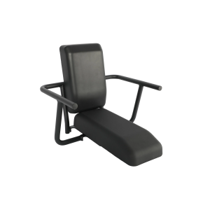 Aventon Passenger's Chair - Abound SR / Abound LR - One Size