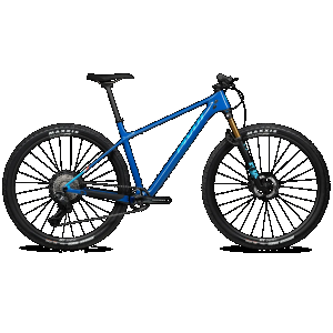 LES SL Pro XT Di2 - XL / Blue Ribbon / DT Swiss XR1700 w/ DT Swiss 350 hub