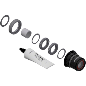N+1 Bikes DT Swiss Ratchet LN Freehub Body Upgrade Kit - SRAM XDR Standard Aluminum Sealed Bearing 18T - $131.70 at N+1 Bikes