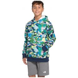 The North Face Boy's Logowear Pullover Hoodie - Kid's