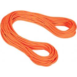 Mammut 9.5 Alpine Dry Rope