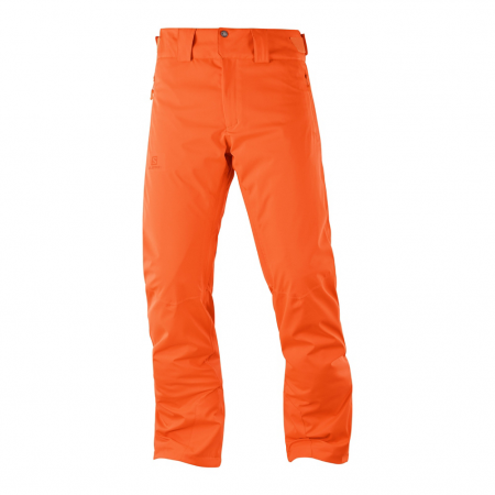 Salomon Stormrace Mens Ski Pants 2019